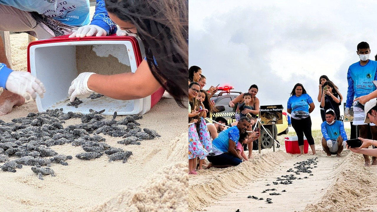 Projeto Amigos do Mar